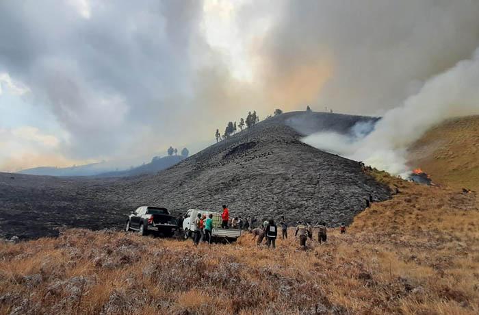 Penyebab Gunung Bromo Terbakar: Faktor Cuaca, Vegetasi Kering, dan Dugaan Aktivitas Manusia