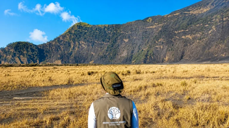 Kebakaran Bromo Berhasil Dipadamkan, TNBTS Bersiap Dibuka Kembali 20 Agustus